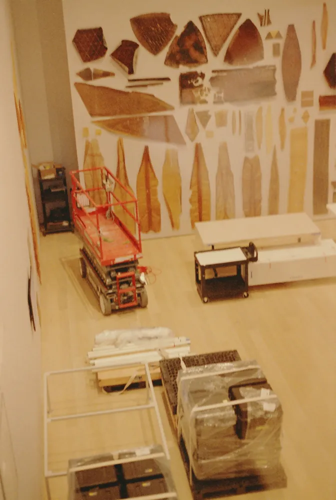 Gallery installation at MoMA, New York, 2020