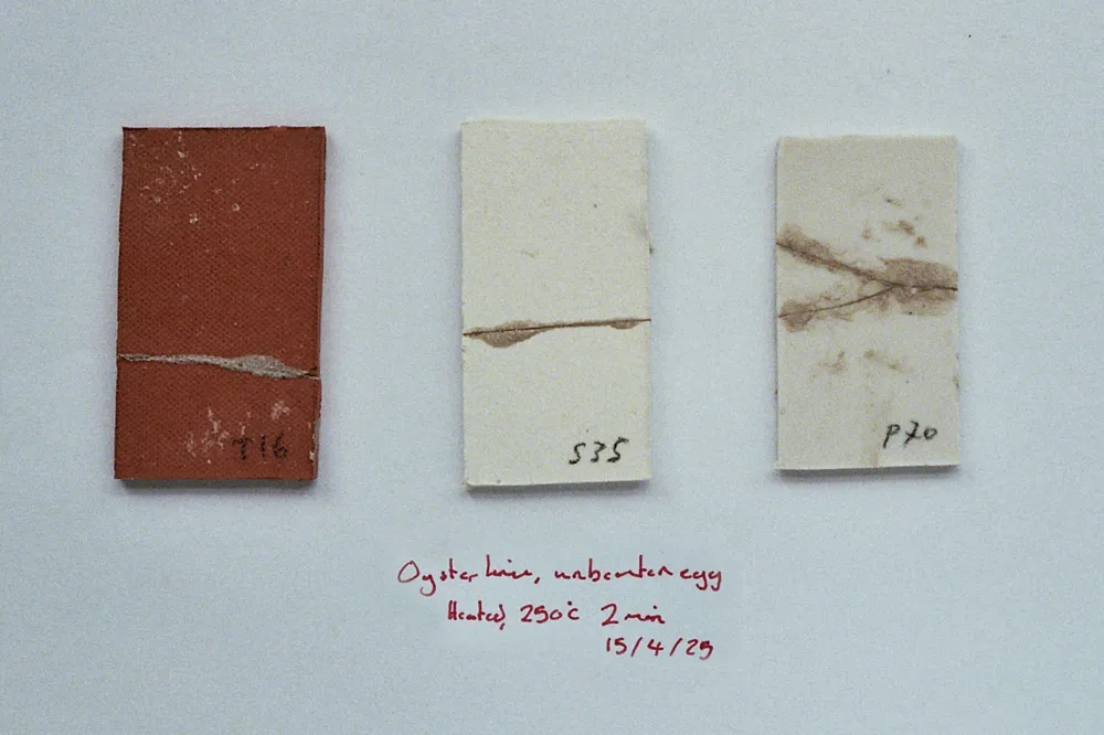 Lime ceramic cement samples made by Tomas Brown.