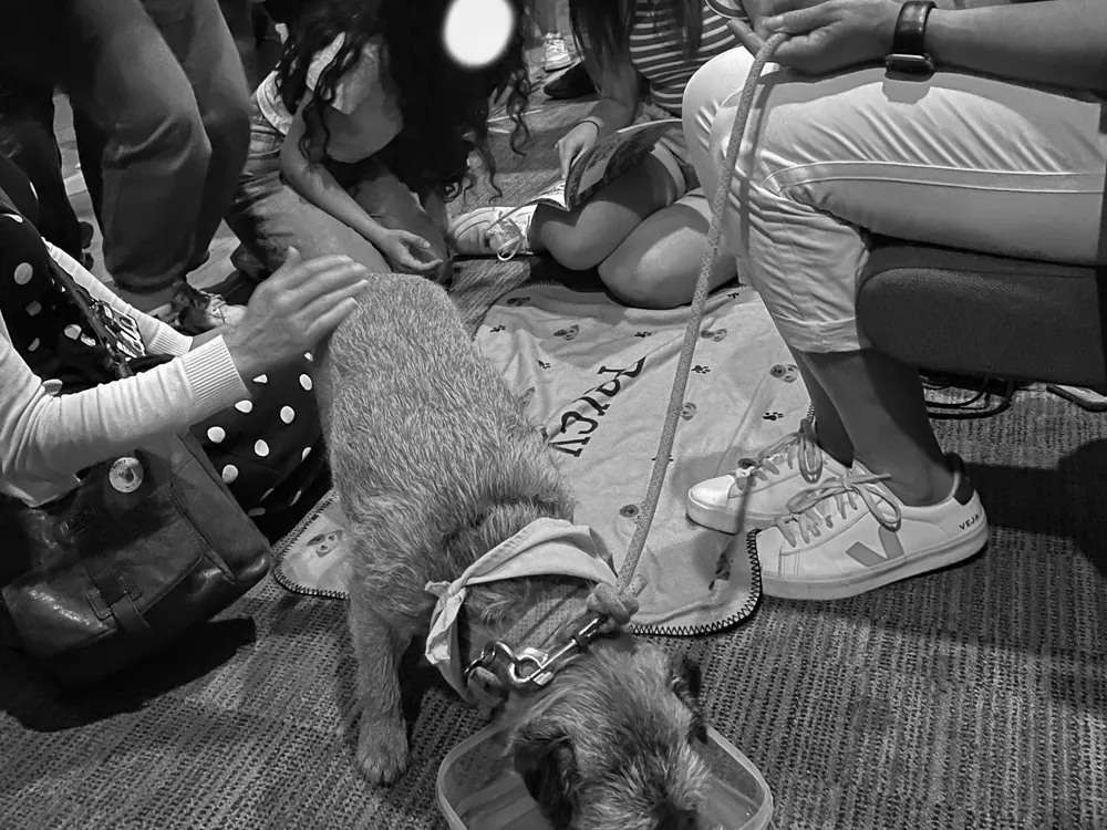 Medical animals session at St George's Medical School, Open Spaces Programme