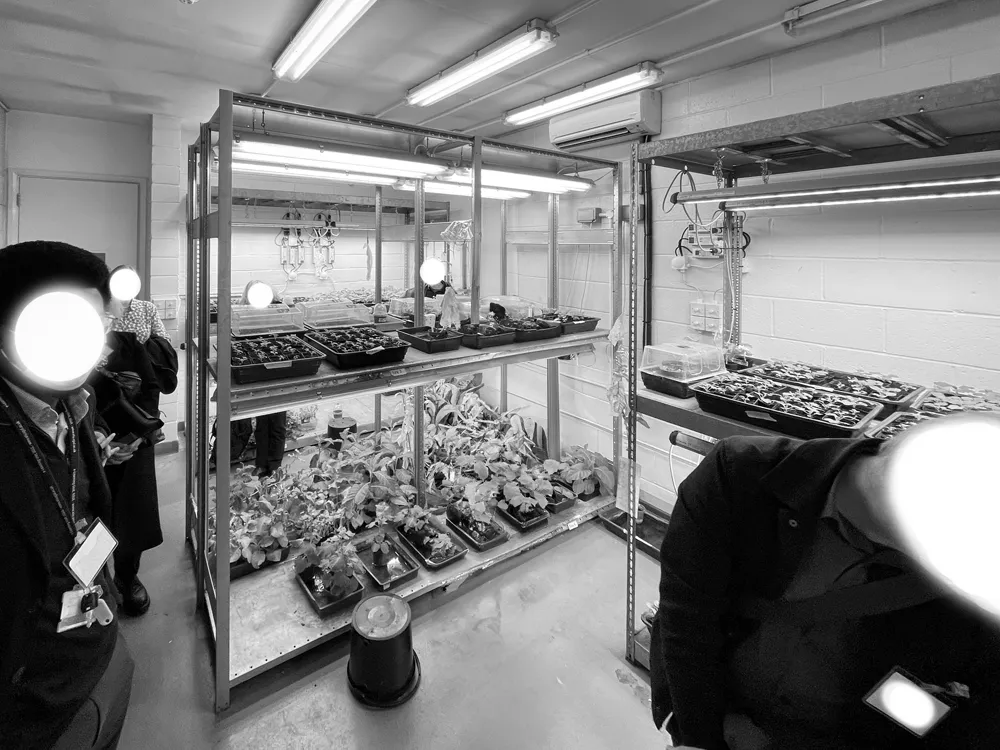 Research tour of the plant room at St George's Medical School, Open Spaces Programme
