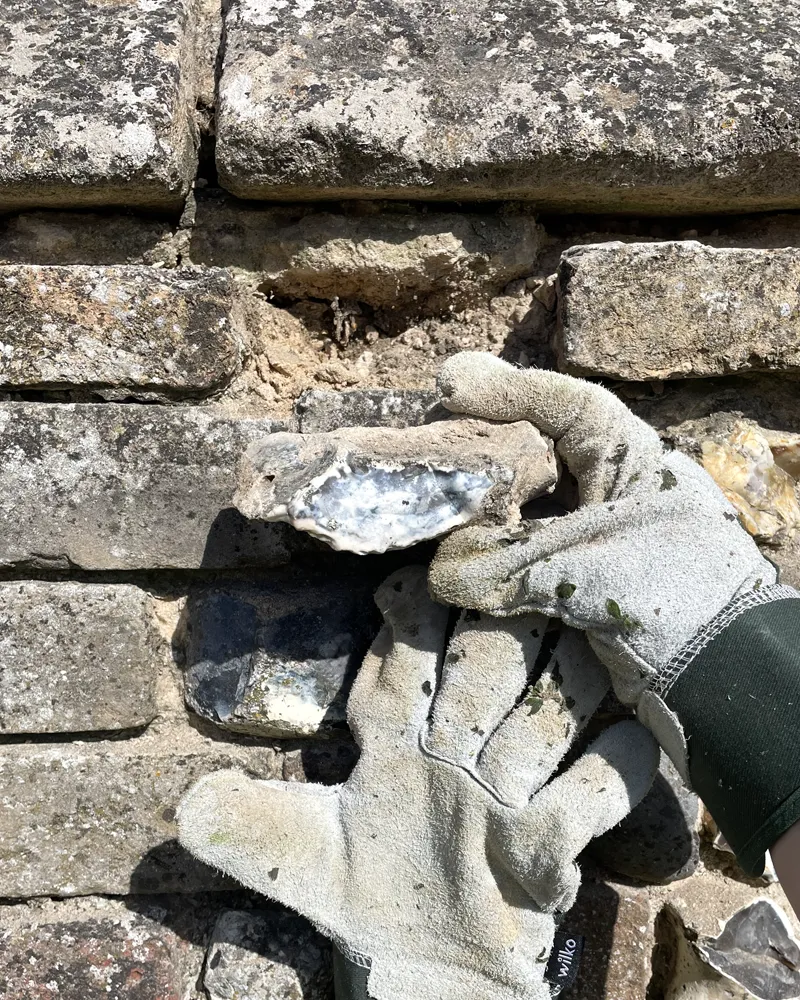 Recording photograph of the repointed flushwork wall section
