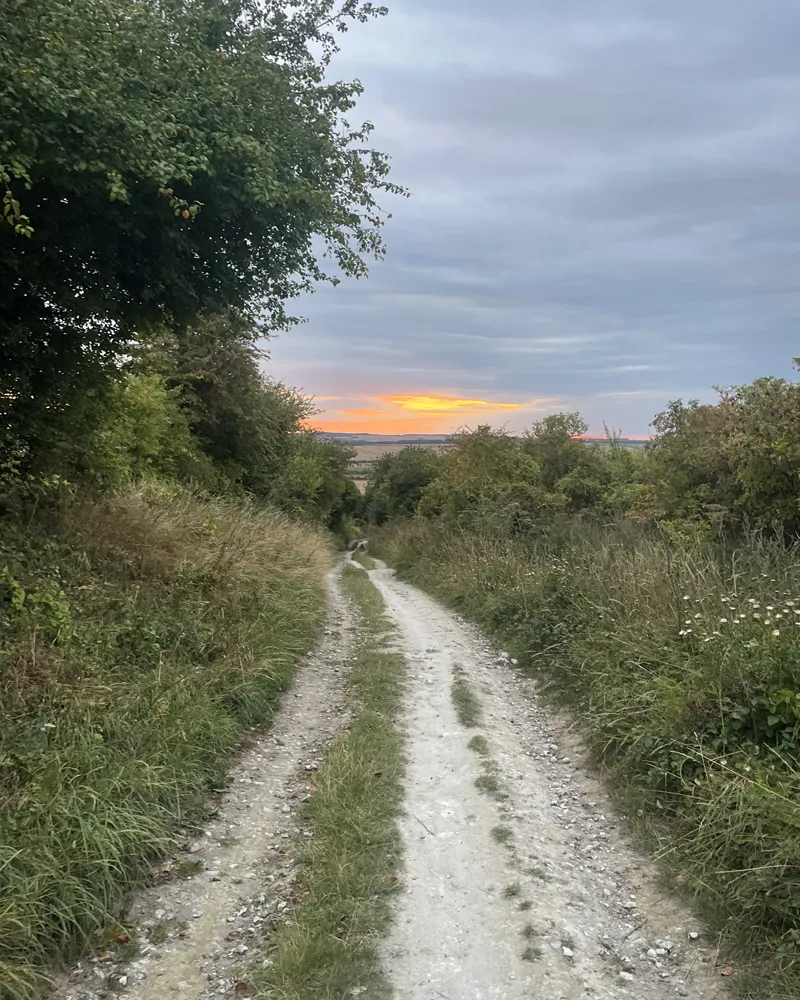 The Ridgeway, chalk path, Wiltshire